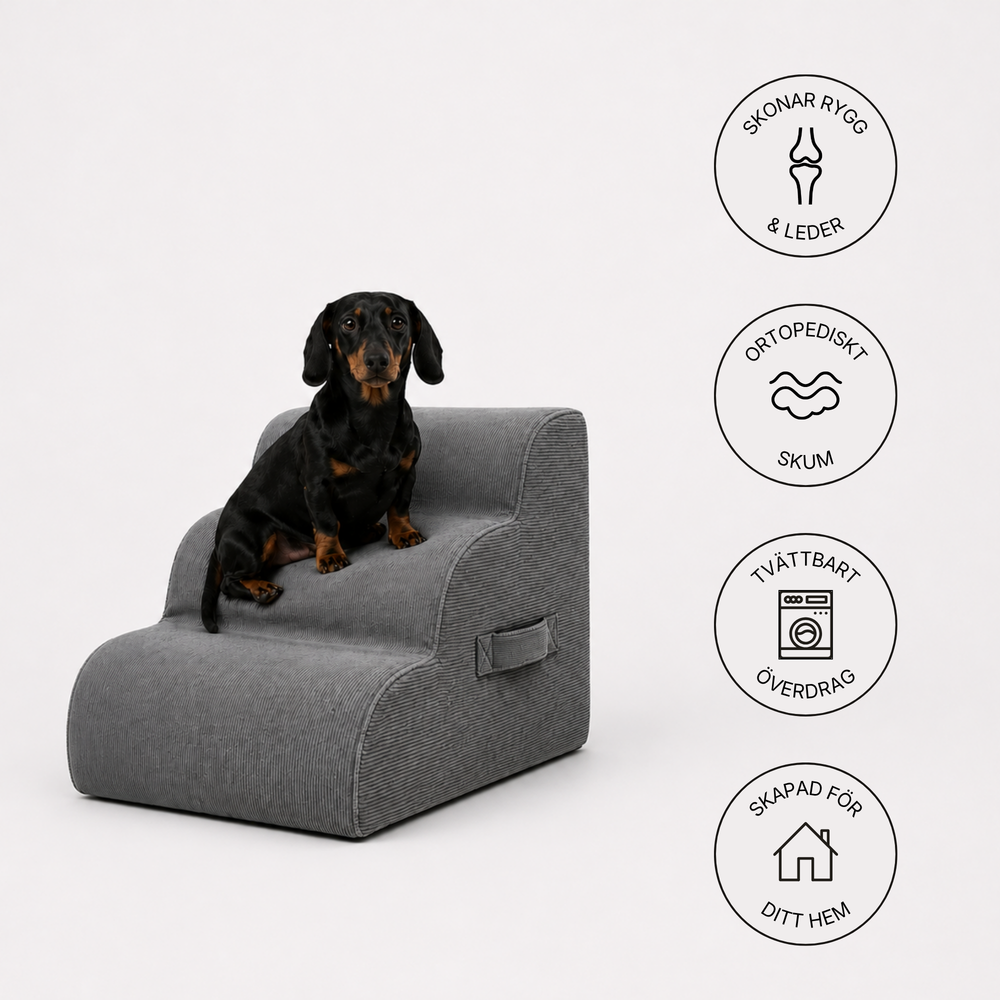 Ortopedisk Hundtrappa