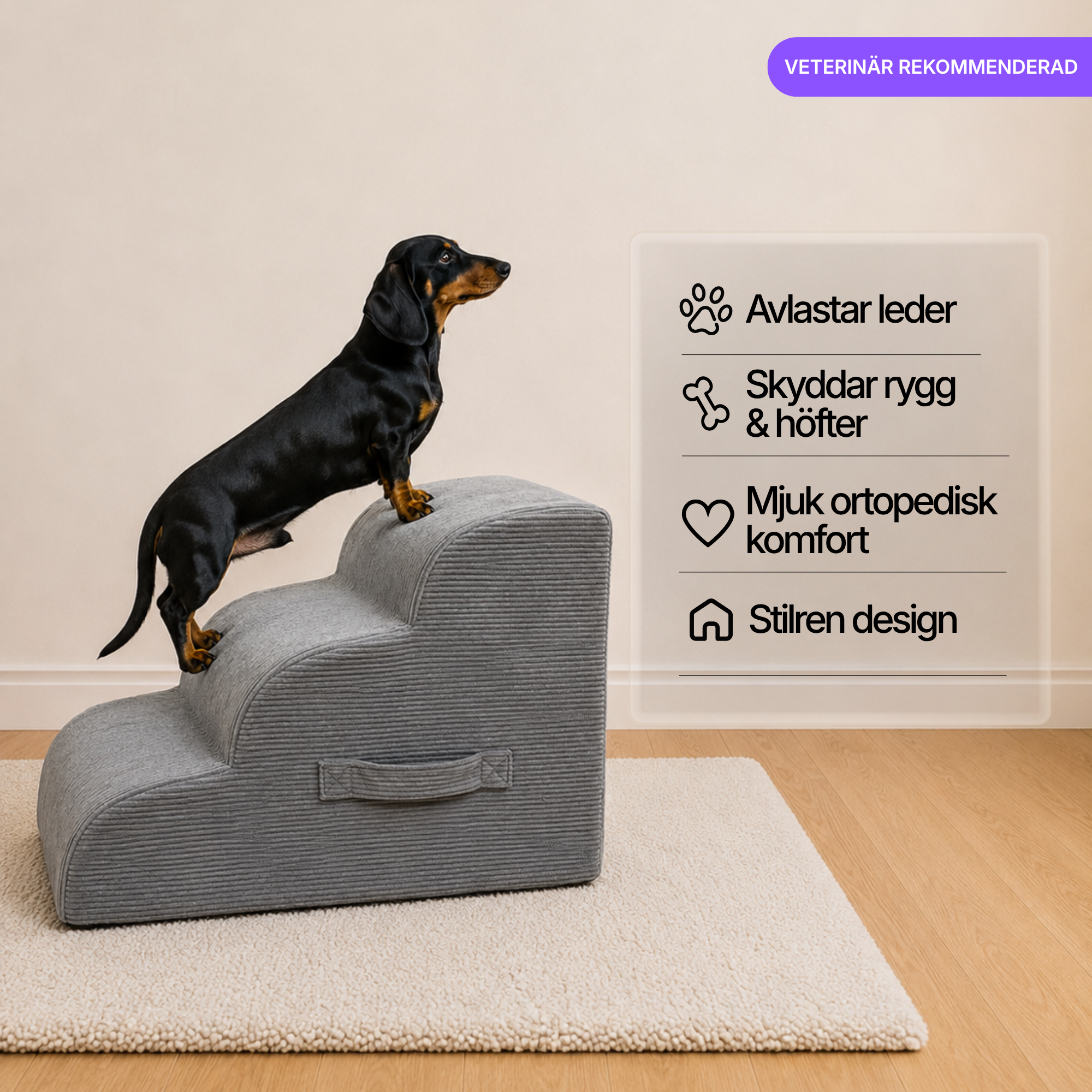 Ortopedisk Hundtrappa