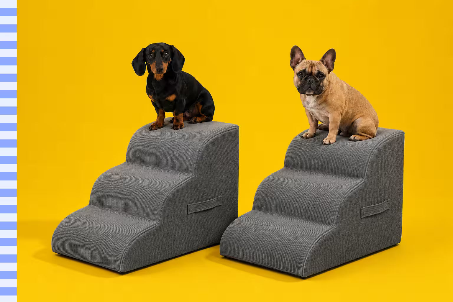 Ortopedisk Hundtrappa